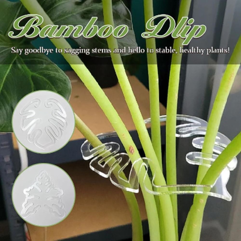 Florist Supply Bulk - Pince en bambou réutilisable, coquille de