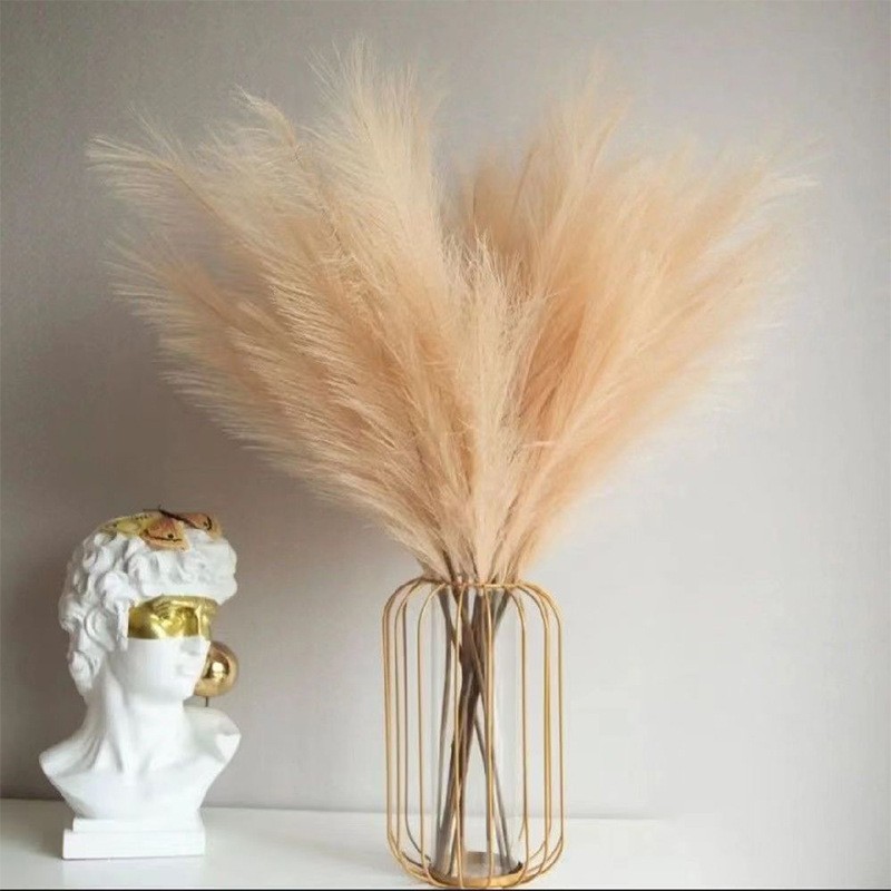 Florist Supply Bulk - Branches de Pompass Artificielles, Fausses Tiges