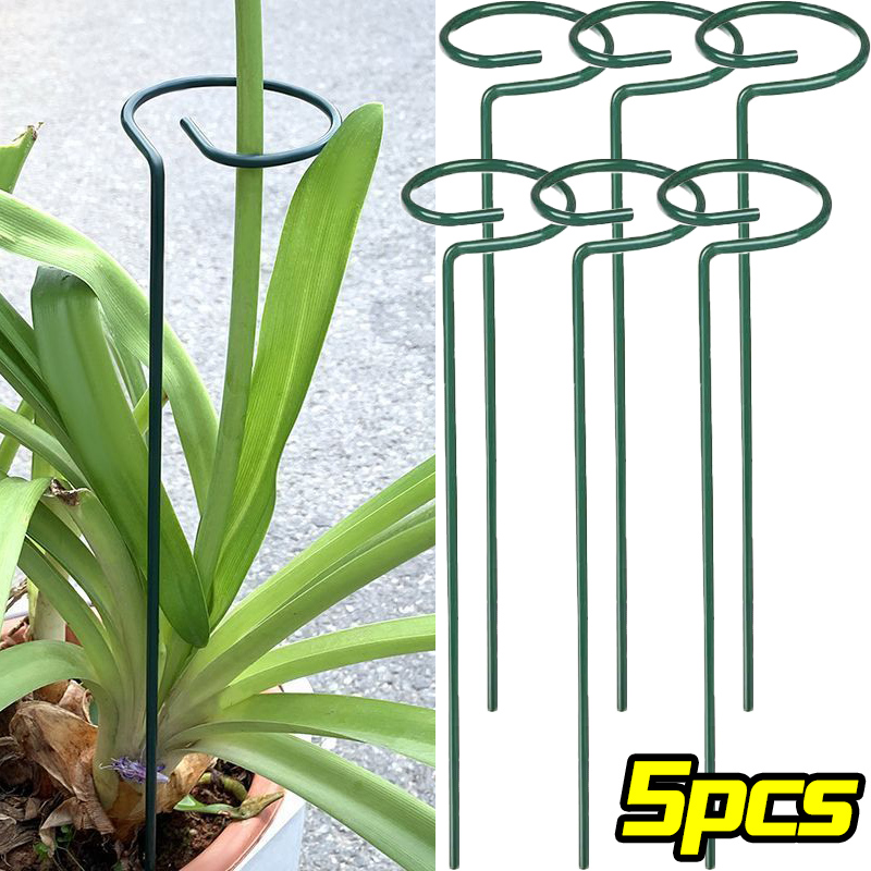 Anneau de piquet de Support de - Florist Supply Bulk avis et prix