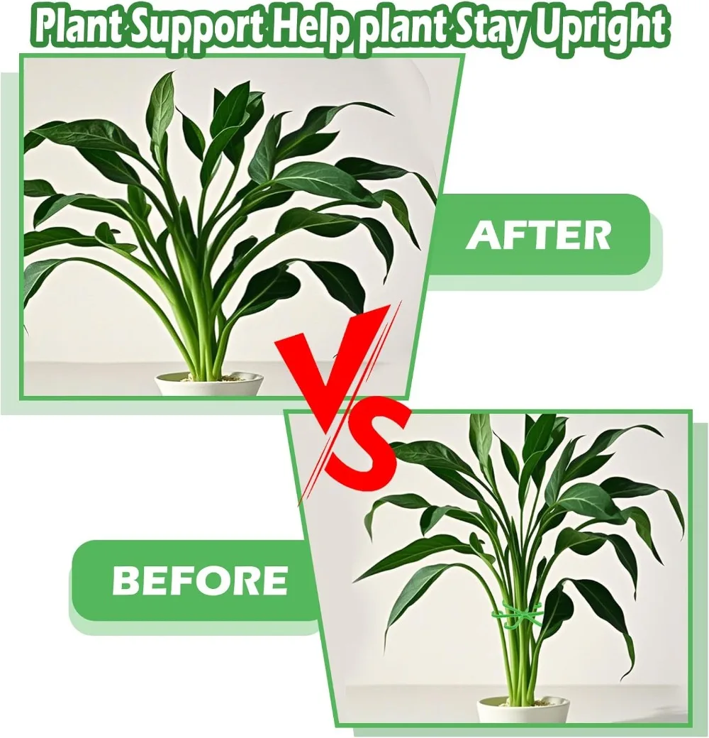 Piquets de Support de tige de  - Florist Supply Bulk avis et prix