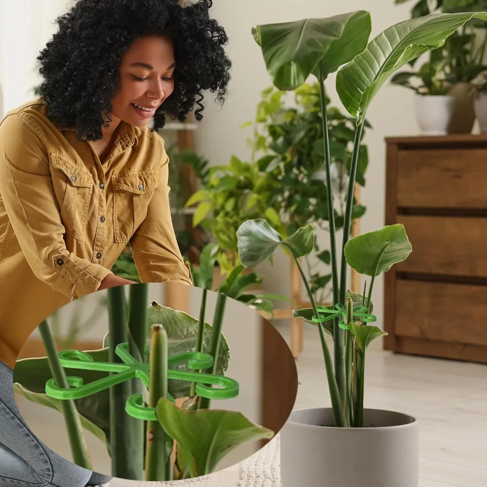 Piquets de Support de tige de  - Florist Supply Bulk avis et prix