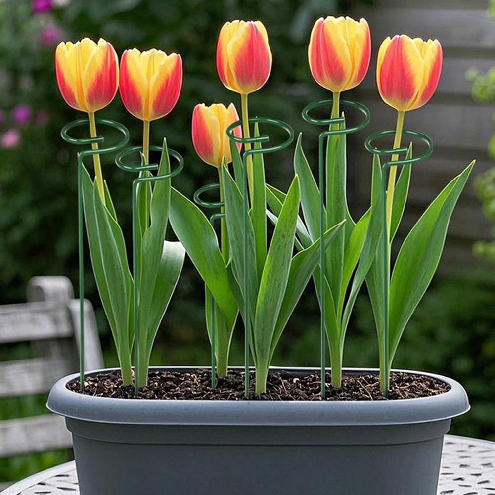 Tiges de support métalliques p - Florist Supply Bulk avis et prix