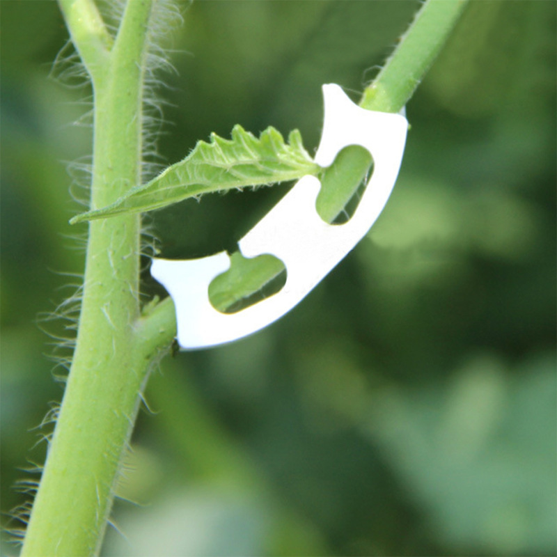 Clips de cerclage de vigne à t - Florist Supply Bulk avis et prix