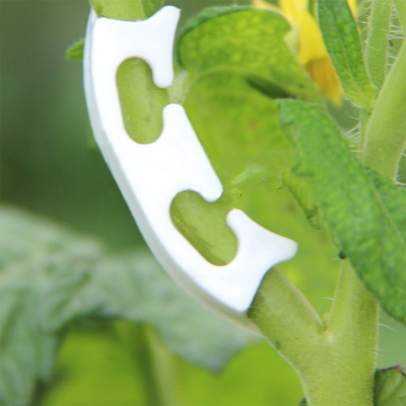 Clips de cerclage de vigne à t - Florist Supply Bulk avis et prix
