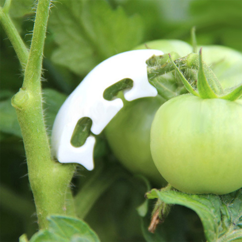 Clips de cerclage de vigne à t - Florist Supply Bulk avis et prix
